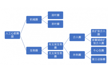 人工心臟瓣膜行業(yè)細分產(chǎn)品介紹（附報告目錄）
